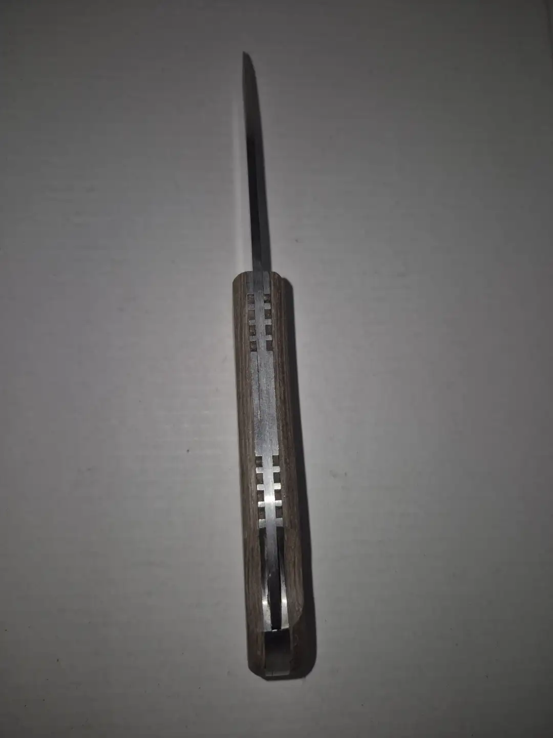 Wolffang – Bozkurt Dişi