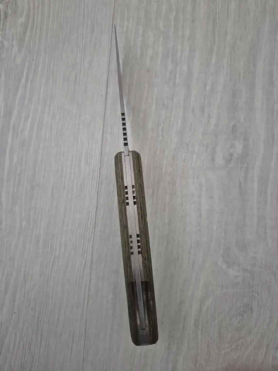 Shadow Fang – Gölge Dişi