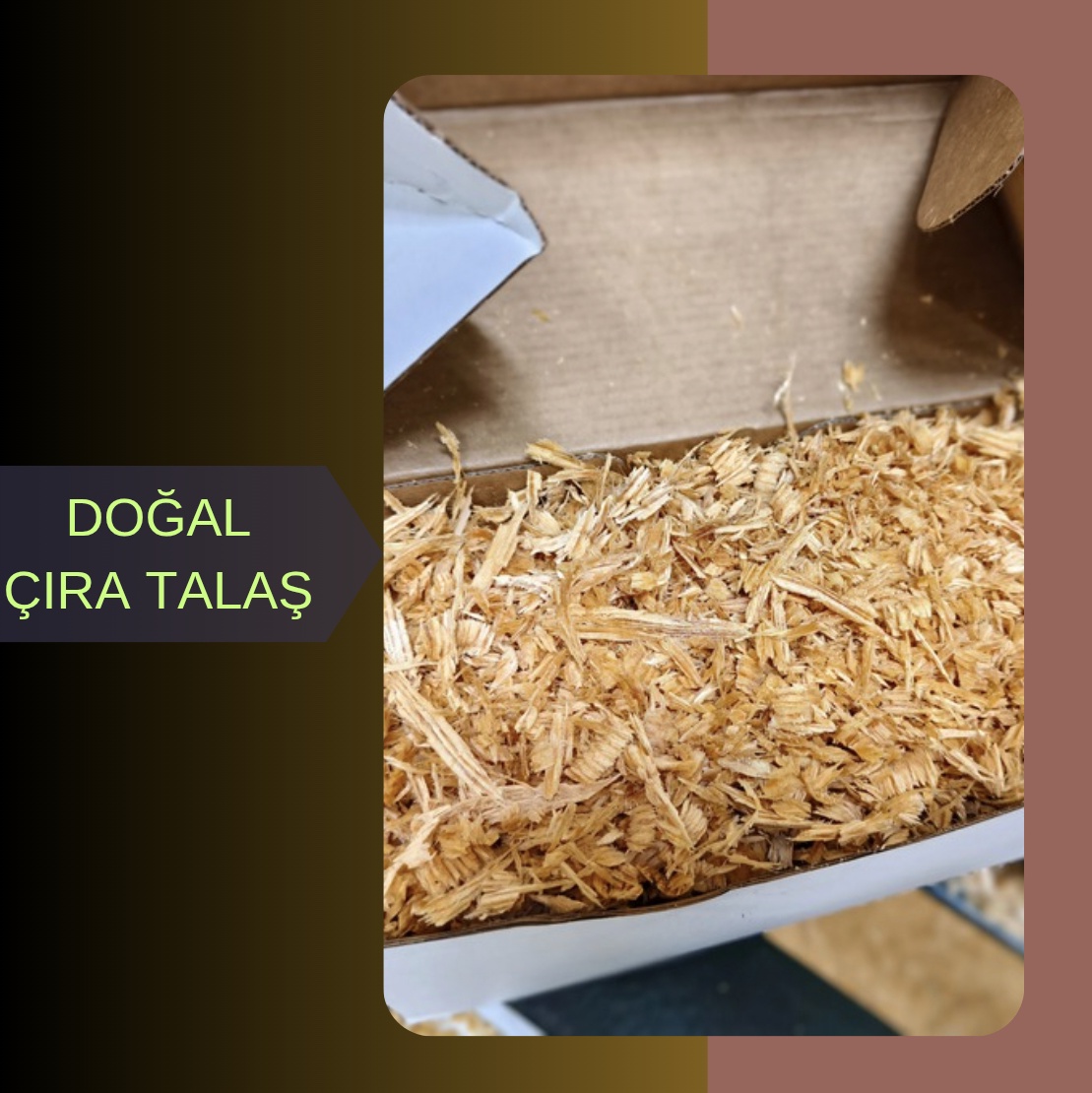 Doğal Çıra Talaşı – Ev Kokusu ve Mangal Tutuşturucu