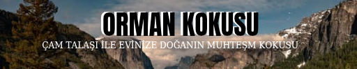 Kastamonu çıra bardağı 