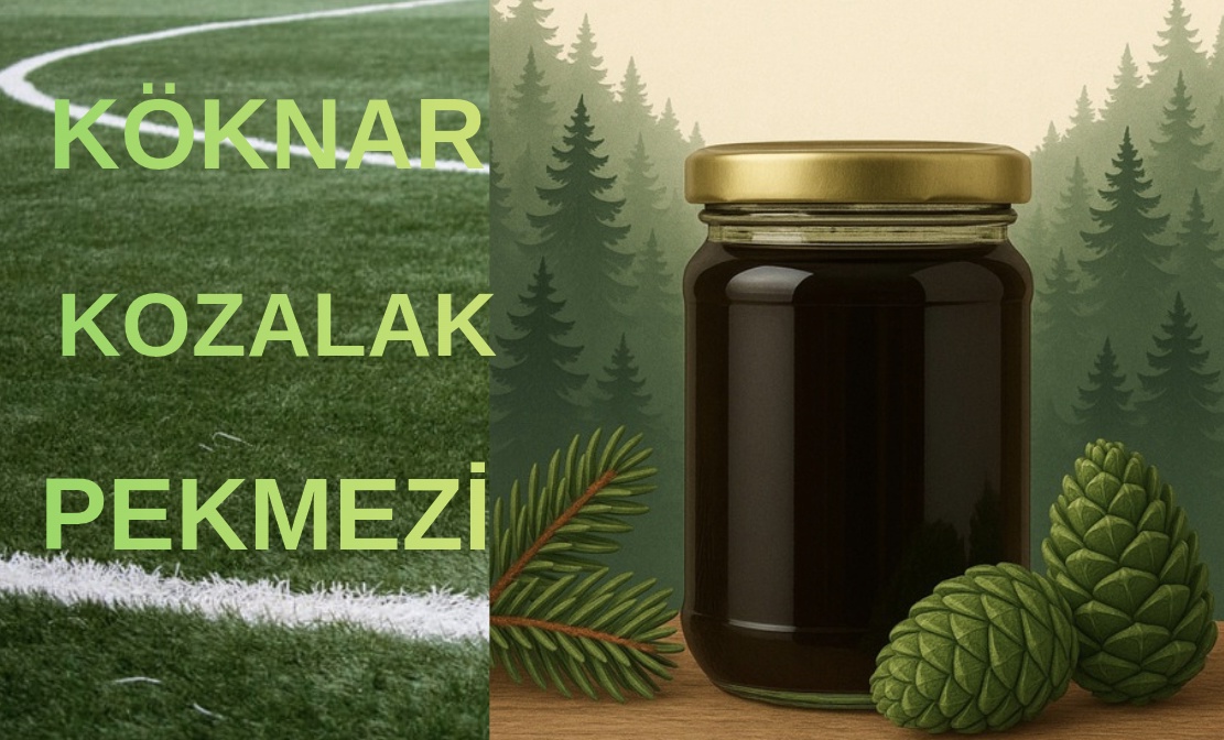 KÖKNAR KOZALAK PEKMEZİ Doğanın En Nadir Şifası
