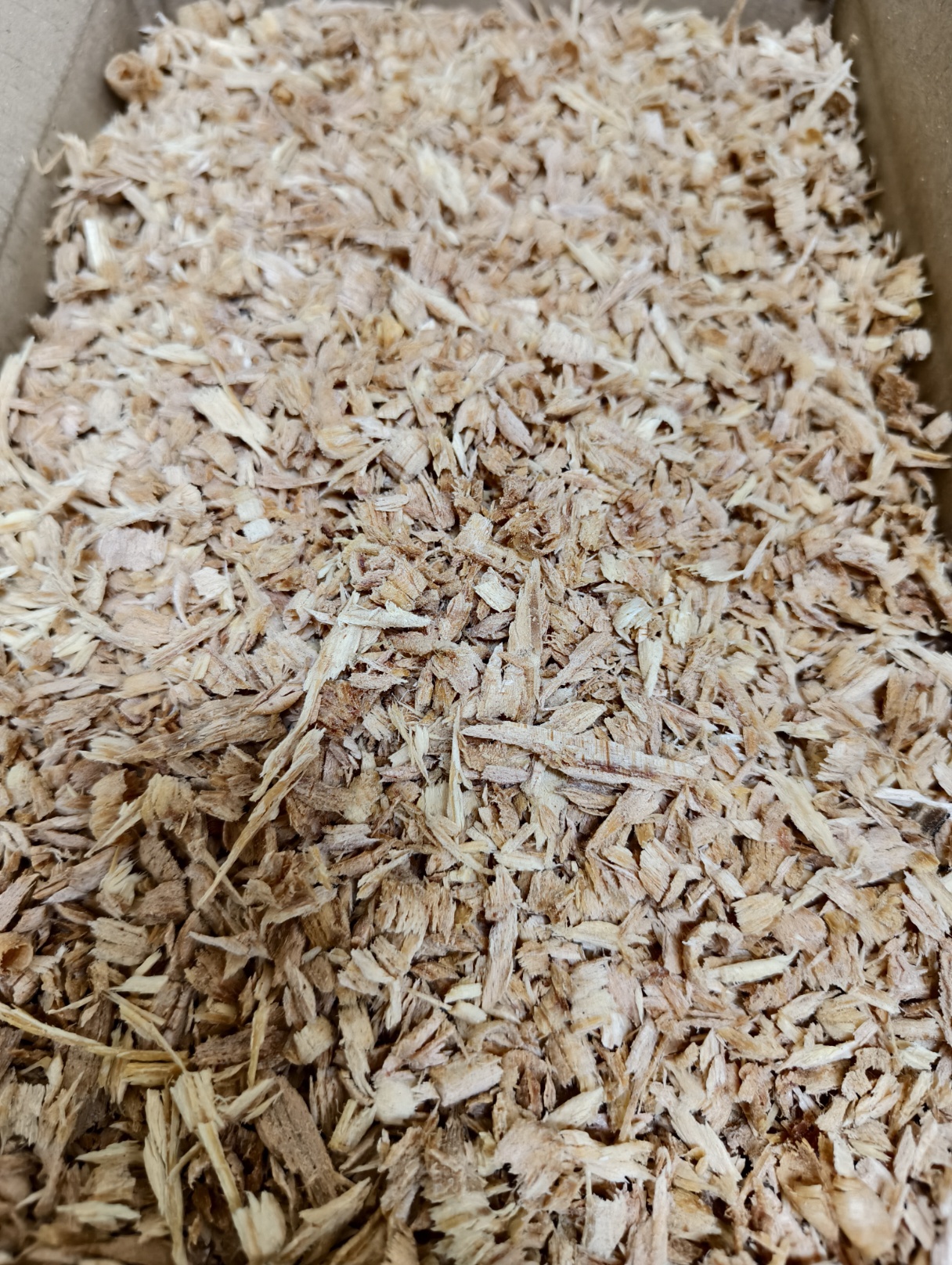 Duble ÇIRA BUHARI İÇİN VE -Ev-Araba Kokusu ve Mangal Tutuşturucu