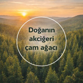 DOĞANIN AKCİĞERİ