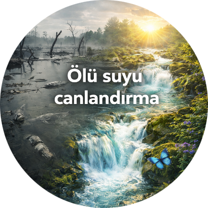 Kastamonu çıra bardağı 